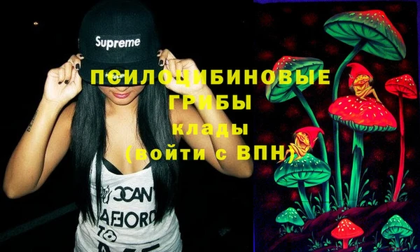 СК Медвежьегорск