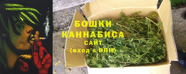 СК Медвежьегорск