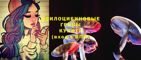 прущий лед Мегион
