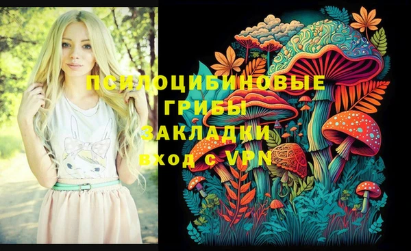 бошки Майский