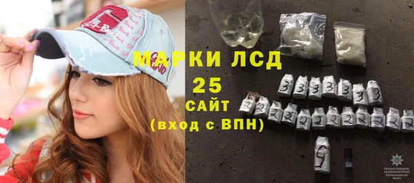 СК Медвежьегорск