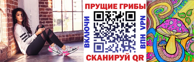 Галлюциногенные грибы ЛСД  blacksprut зеркало  Оса  как найти закладки 